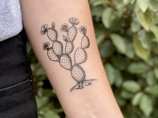 Nature Tats - Temporary Tattoos