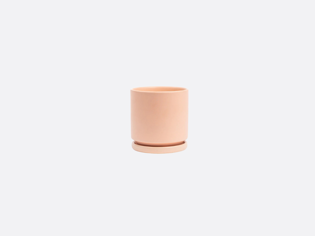 4.5" Gemstone Cylinder Pot + Saucer - Blush
