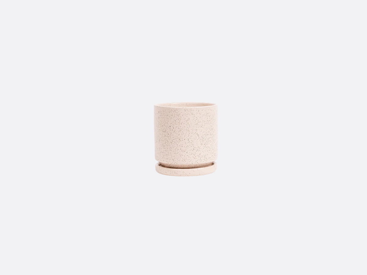 4.5" Gemstone Cylinder Pot + Saucer - White Sesame