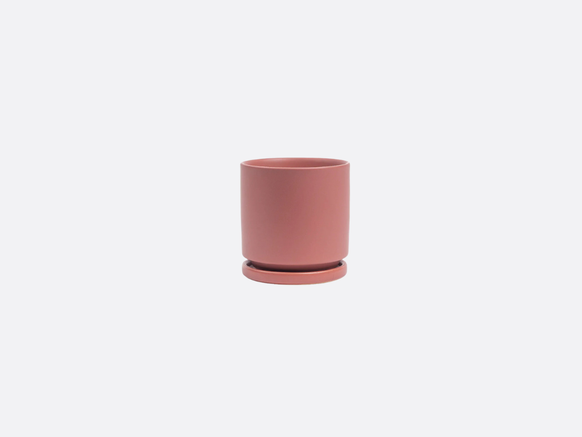 4.5" Gemstone Cylinder Pot + Saucer - Dusty Rose