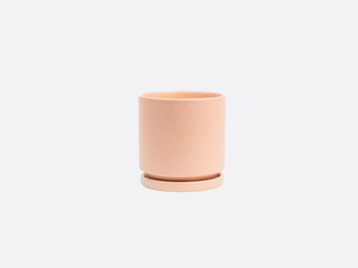 6.5" Gemstone Cylinder Pot with Water Saucer - Blush