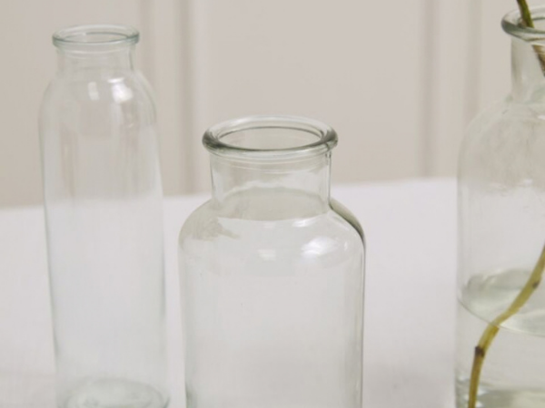 Billie Bottle Bud Vase - Clear