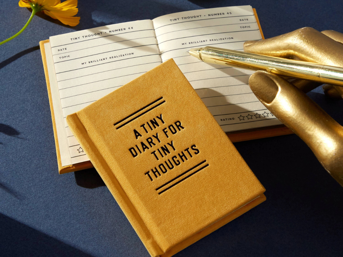 Brass Monkey A Tiny Diary For Tiny Thoughts