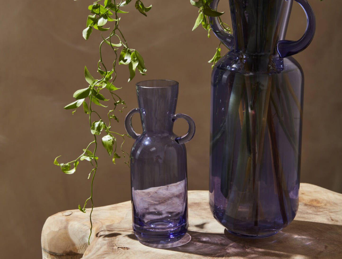 Denia Budvase