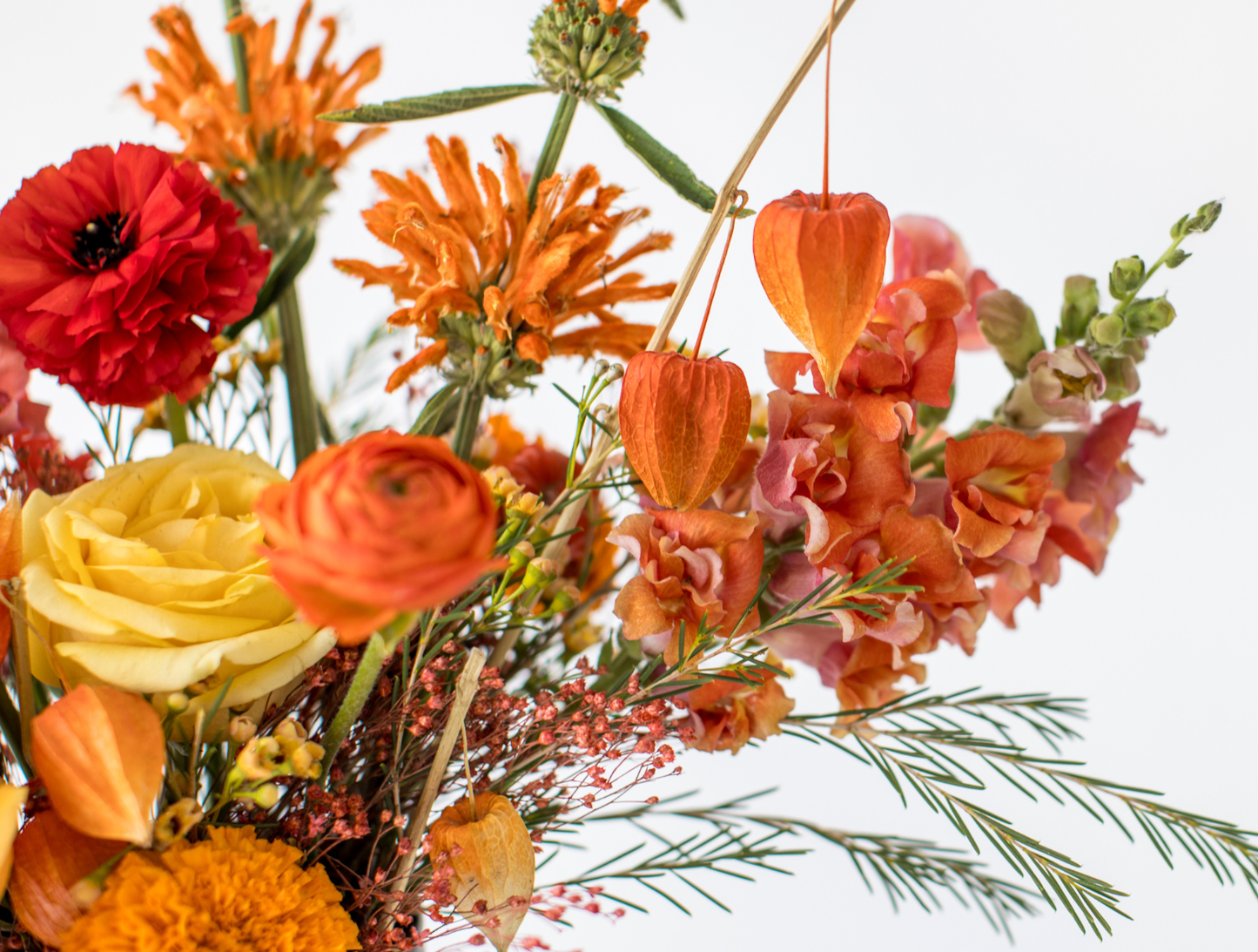 Vibrant Designer’s Choice Flower Arrangement