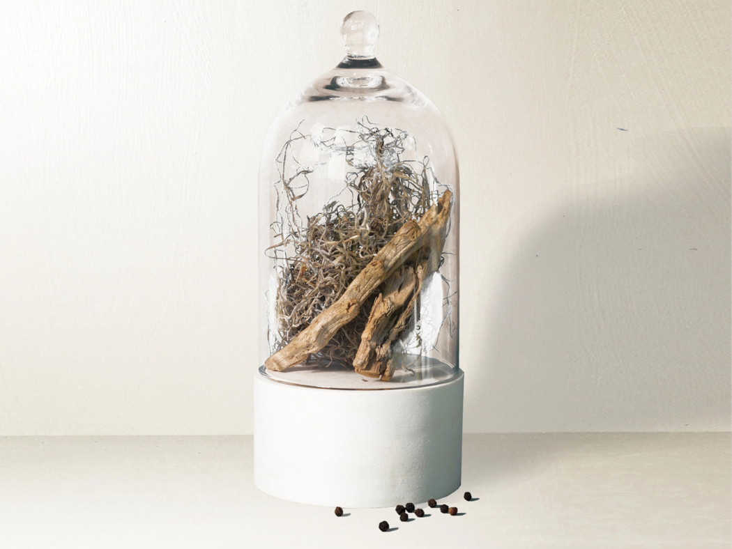 Dried Cedar + Moss Candle - 7.75oz