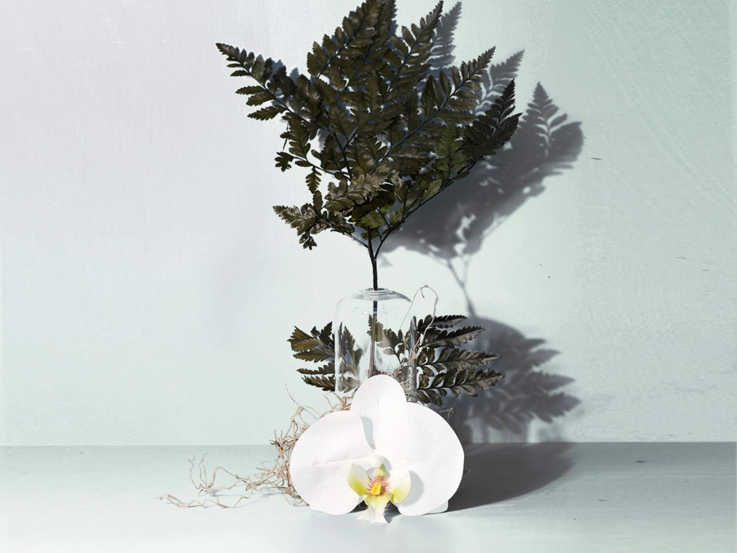 Forest Fern - Linen Spray