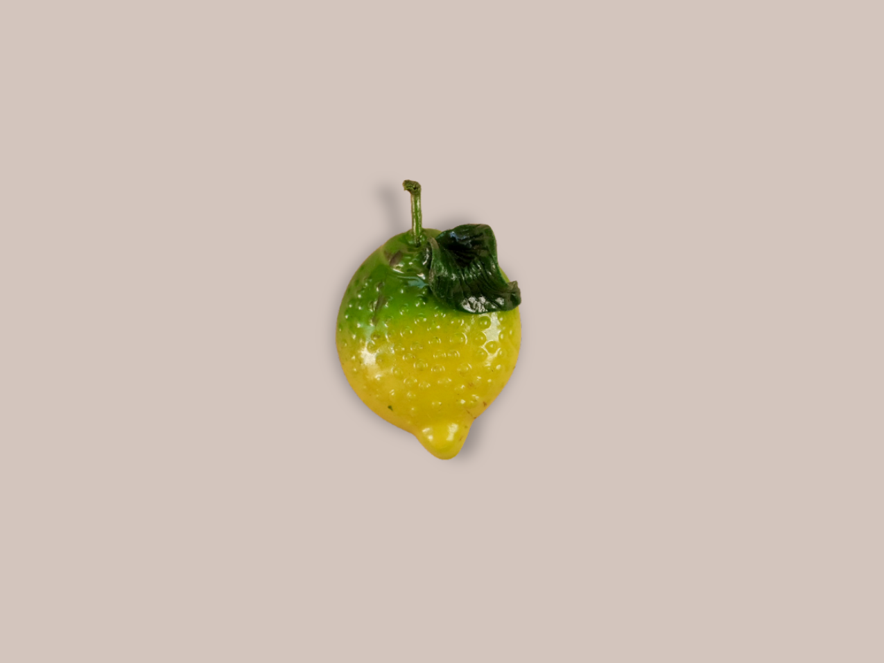 Handmade Magnet - Fruit
