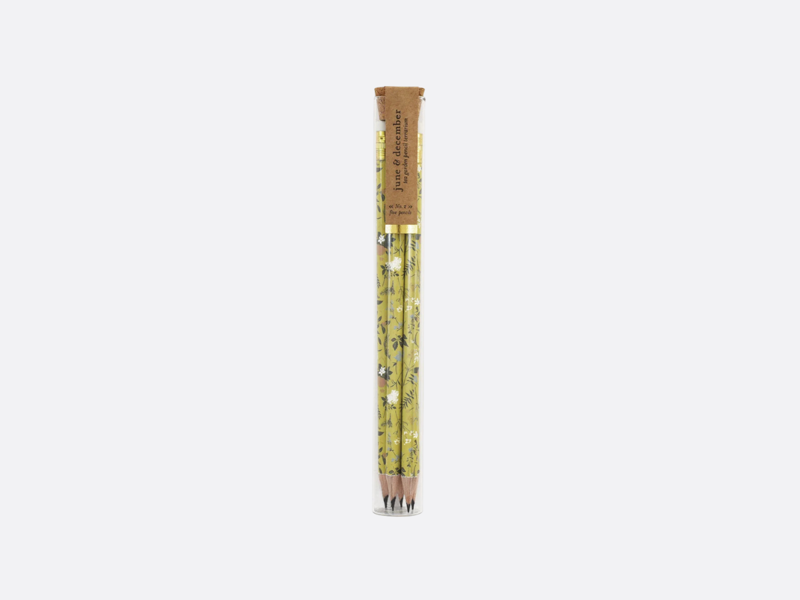 Pencil Terrarium Set