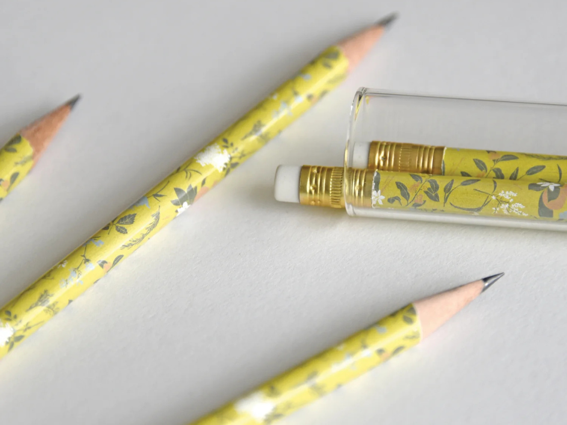 Pencil Terrarium Set