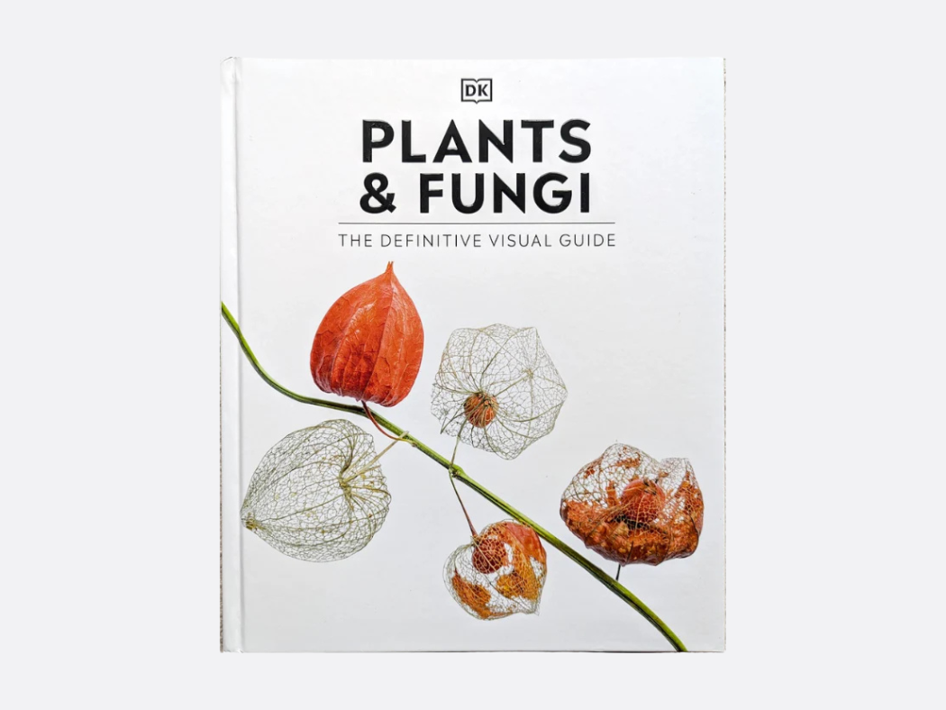 Plants & Fungi: Visual Guide