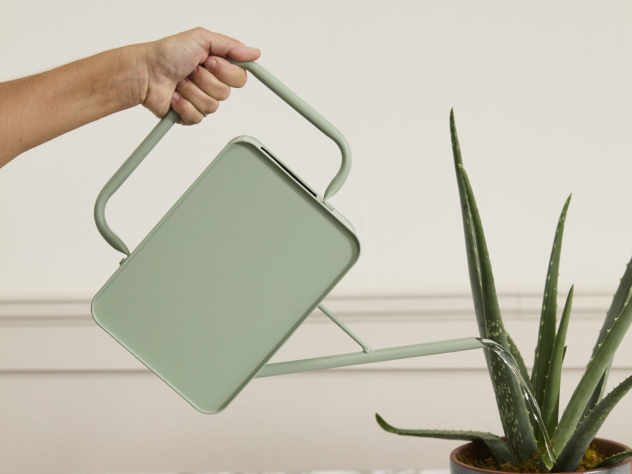 Region Watering Can
