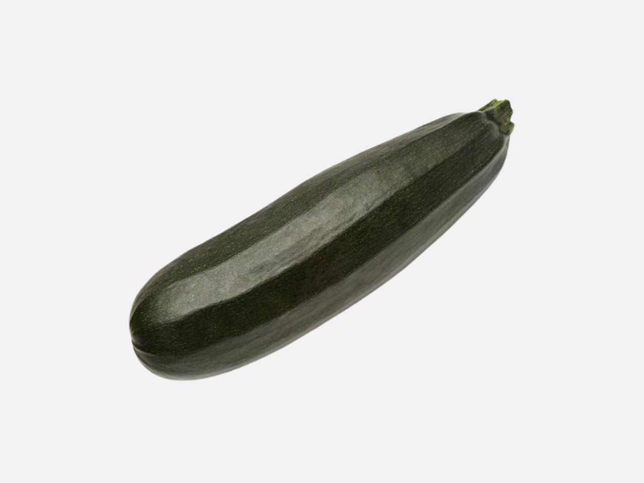 Schoepp Seeds - Zucchini Squash