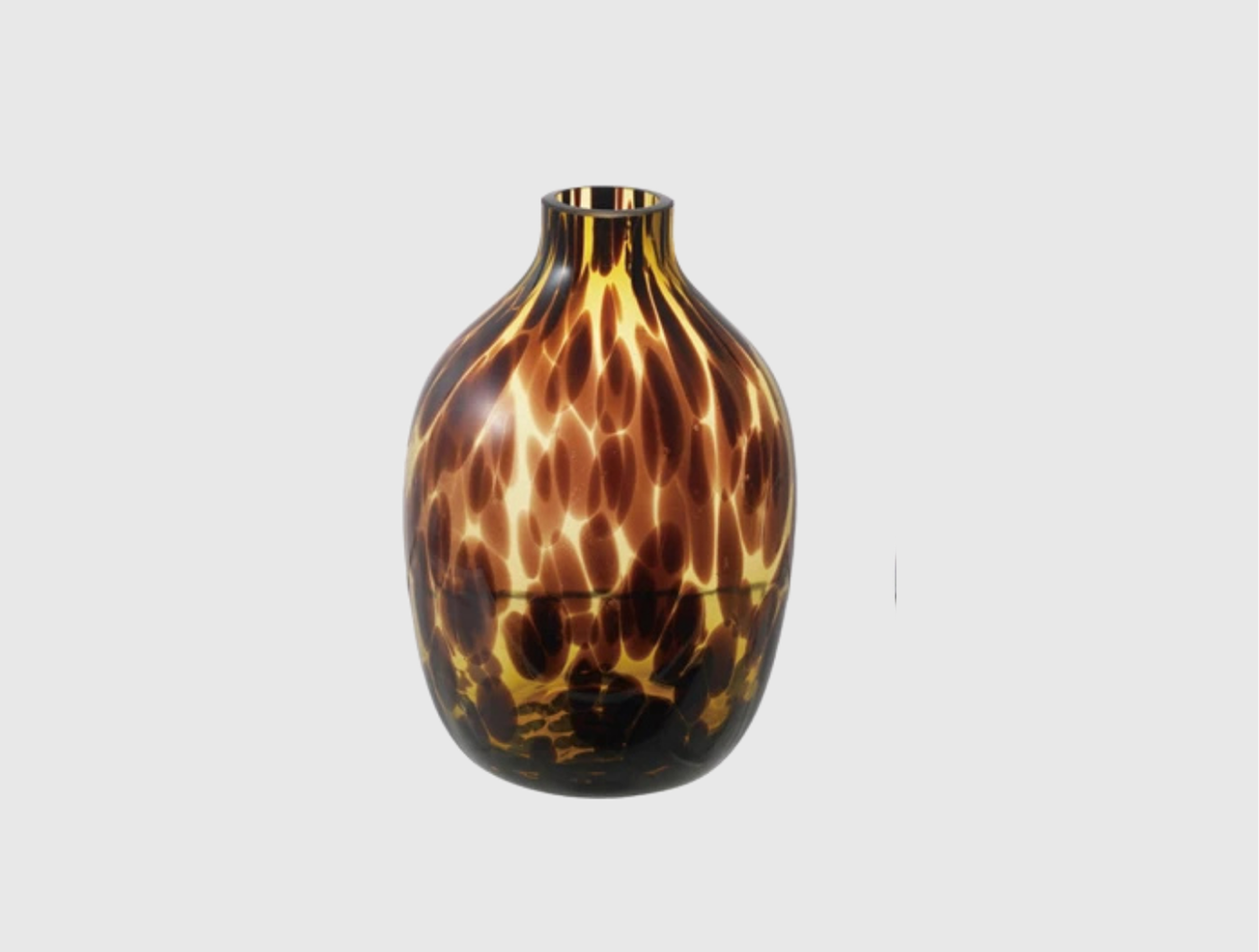 Tortoise Glass Vases