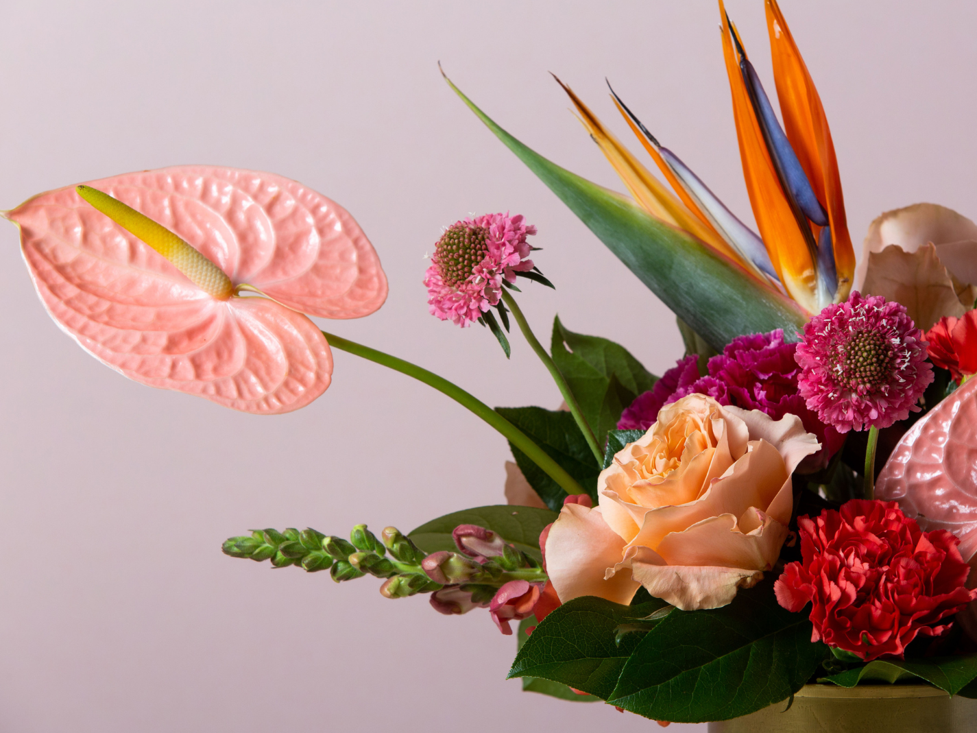 Tropical Designer's Choice Flower Arrangement – Beet & Yarrow