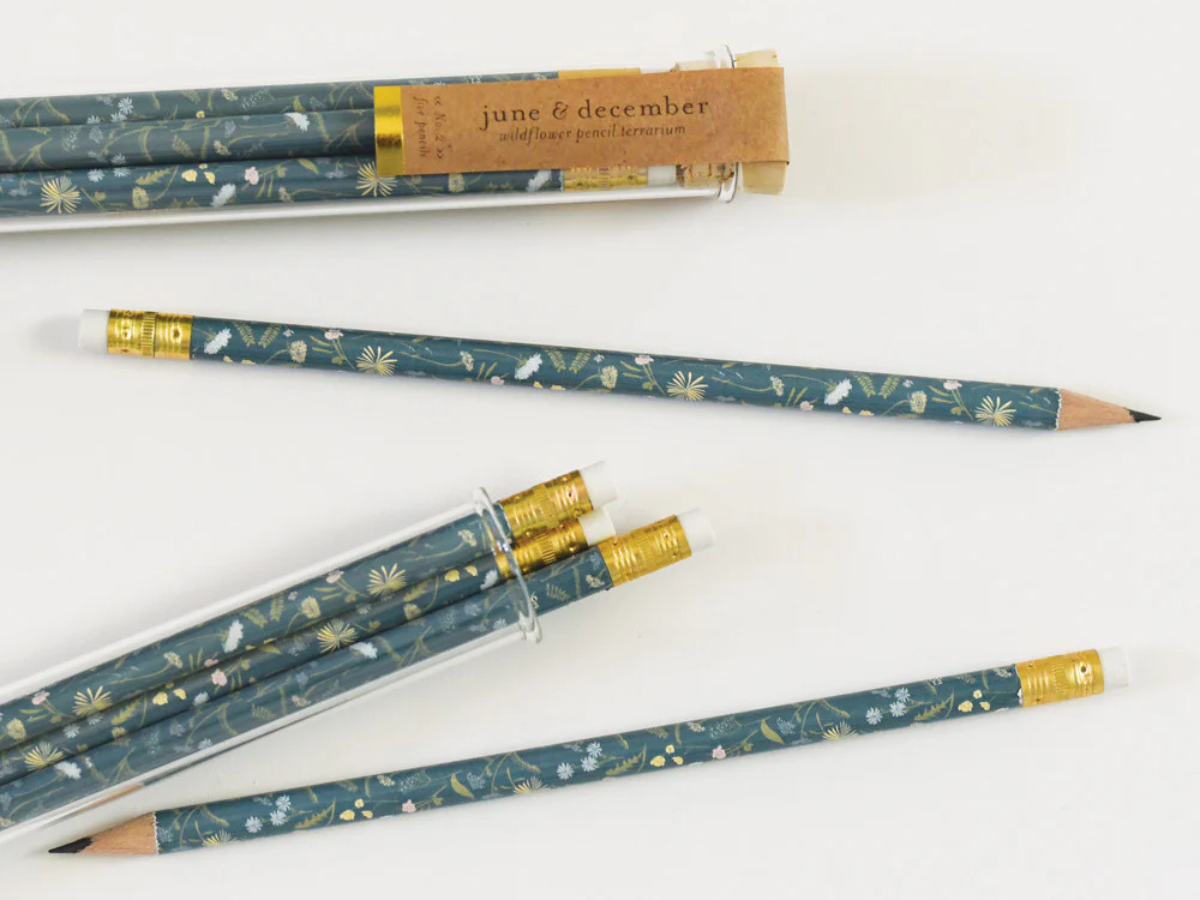 Pencil Terrarium Set