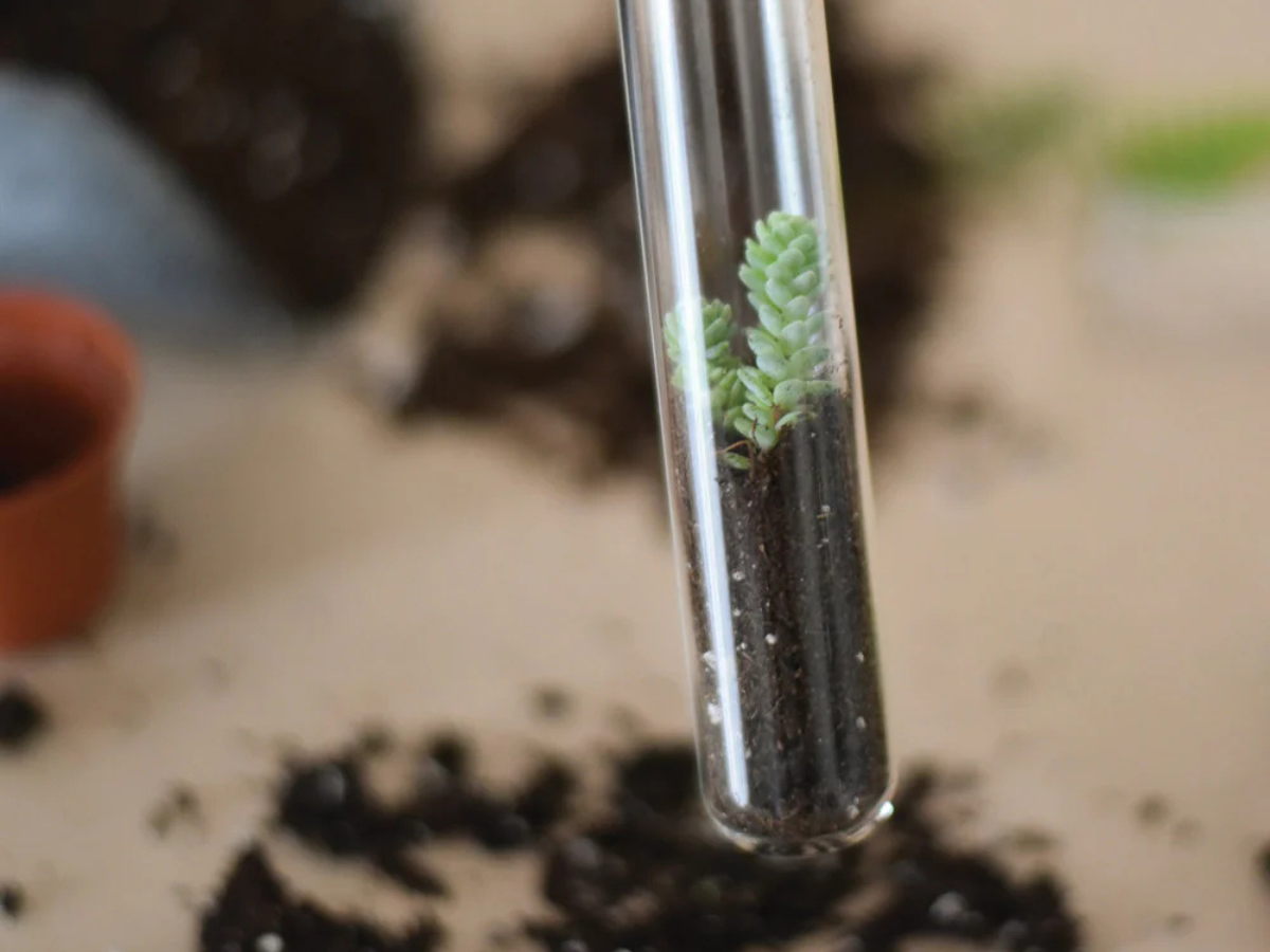Pencil Terrarium Set