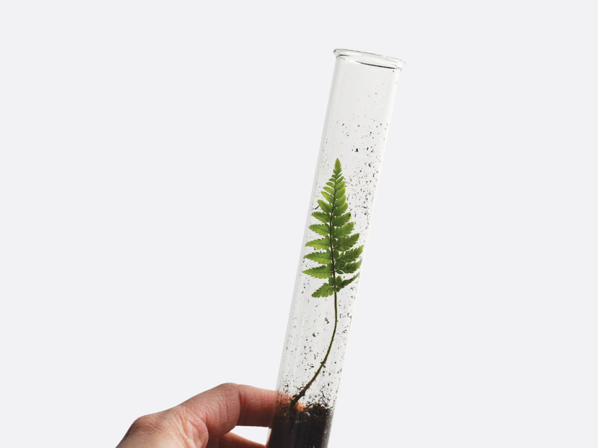 Pencil Terrarium Set