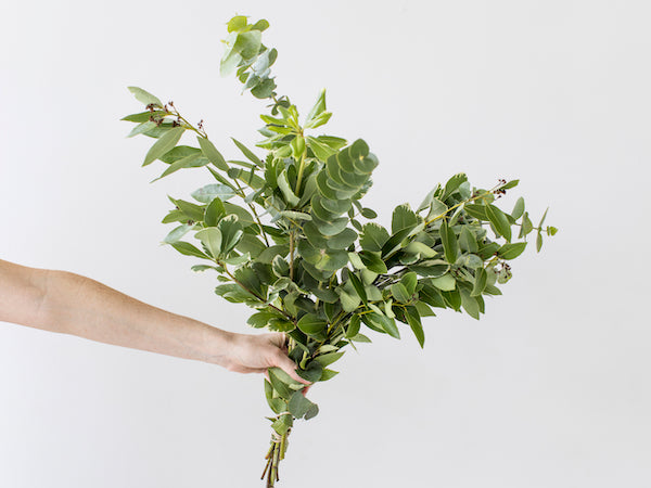 Greenery Bundle | Wedding Package Add-On