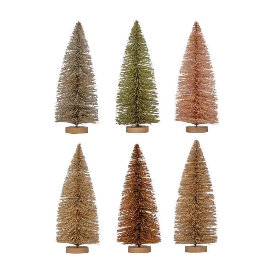 Sisal Trees