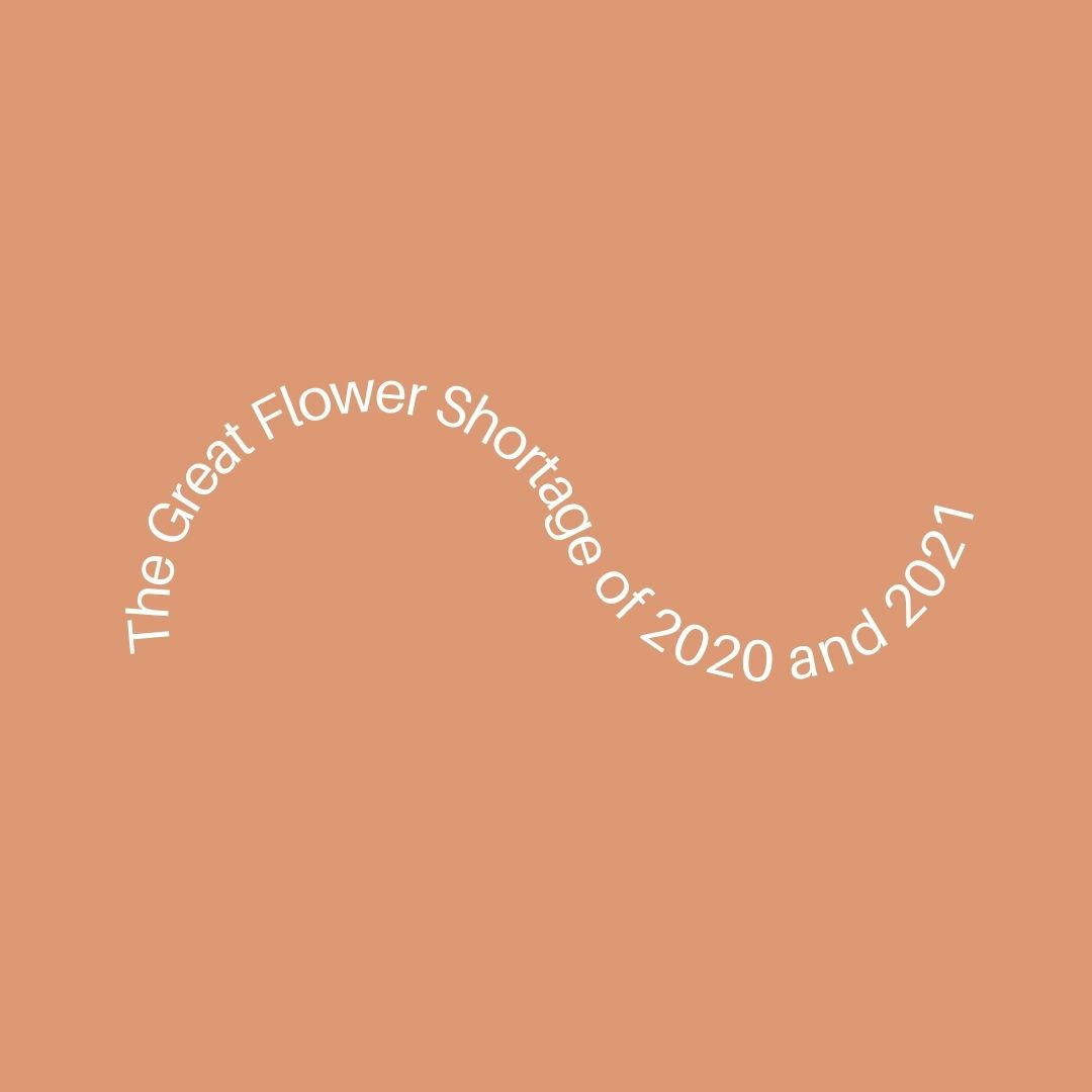 Flower Shortages: A Beet & Yarrow Primer