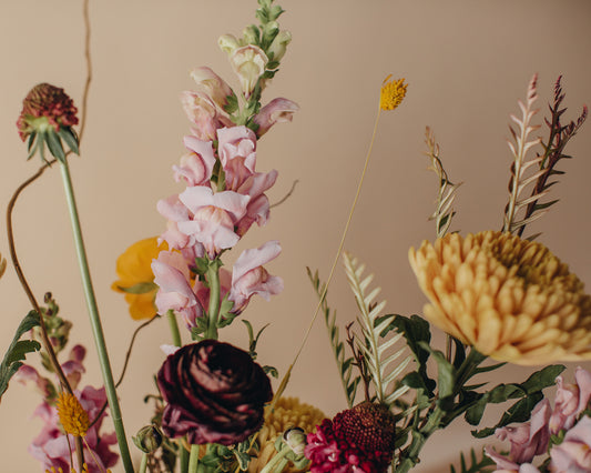 Spring Cleaning & Summertime Decor