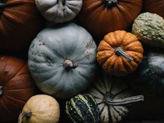 Collection of pumpkins of various colors, sizes, and textures.