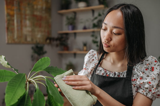 QUIZ: What Kind of Plant Parent Are You?