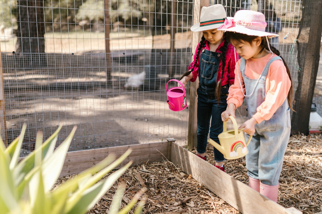Sustainable Summer Gardening in Colorado