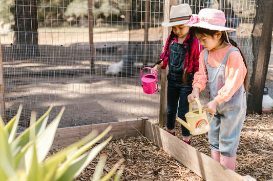 Sustainable Summer Gardening in Colorado