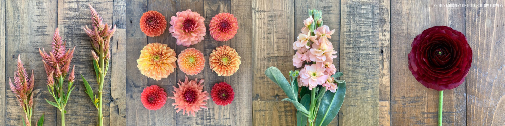 Growing Season in Colorado