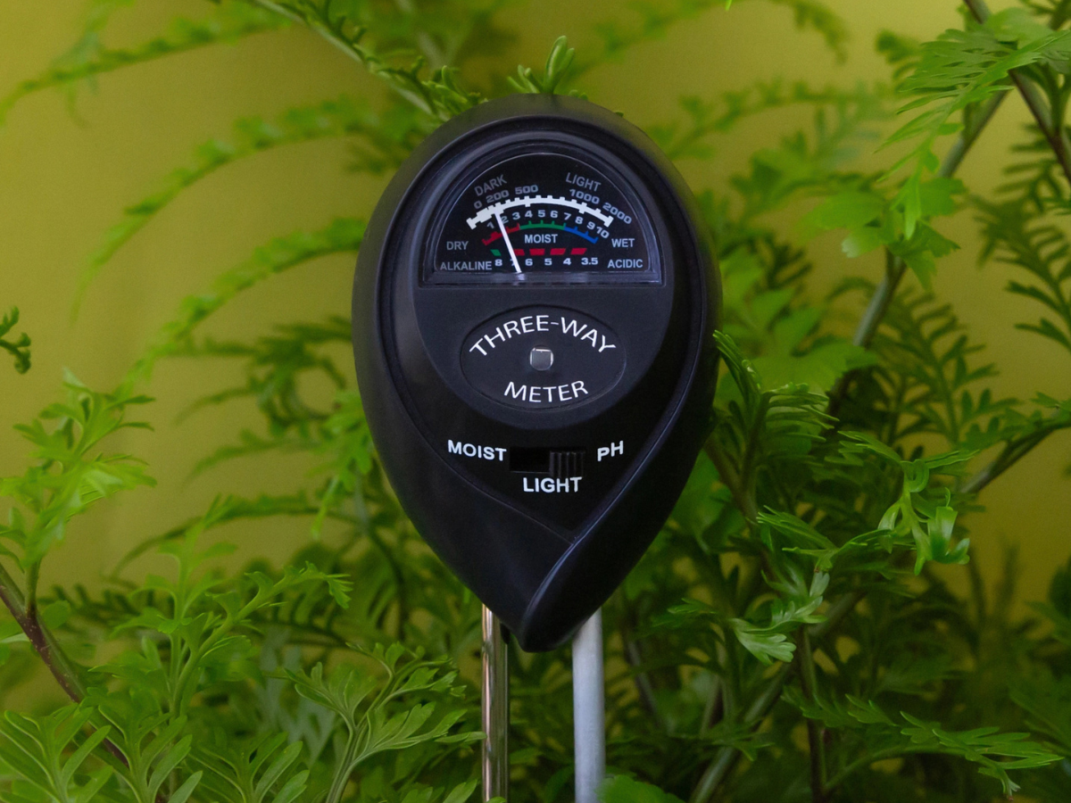 3-in-1 Moisture Meter - Black