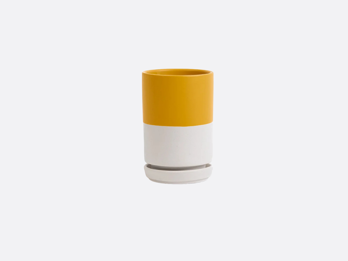 3.25" Tall Cylinder Pot with Water Saucer - Top Half Mustard