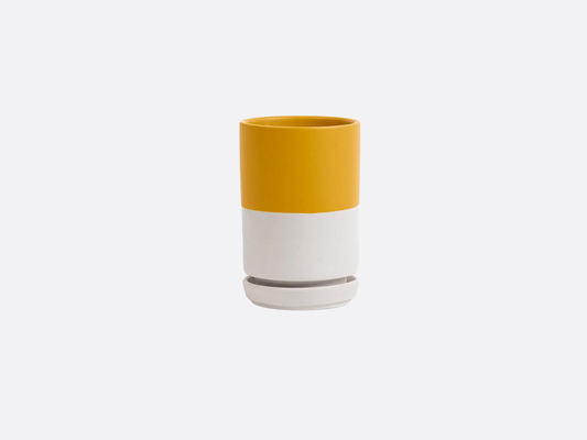 3.25" Tall Cylinder Pot with Water Saucer - Top Half Mustard