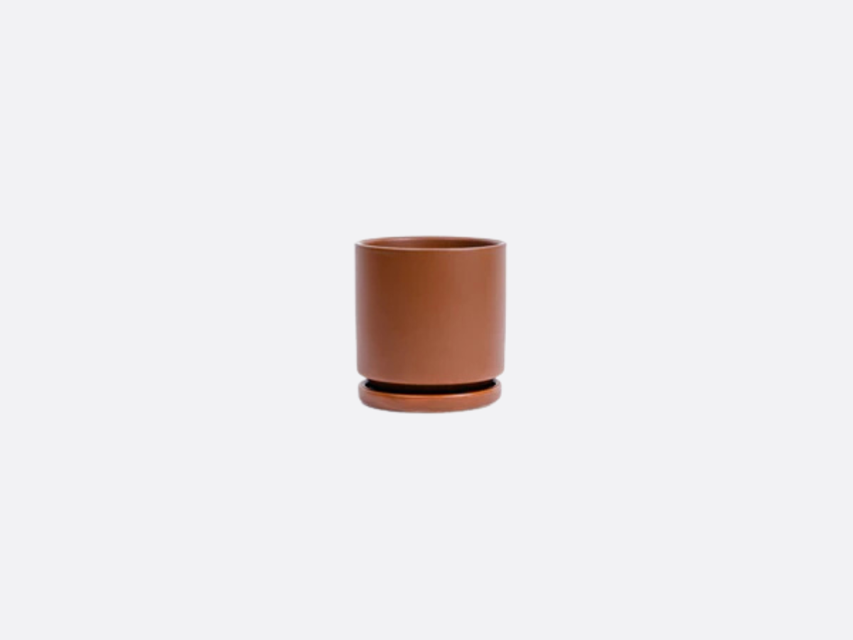 4.5" Gemstone Cylinder Pot + Saucer - Chocolate
