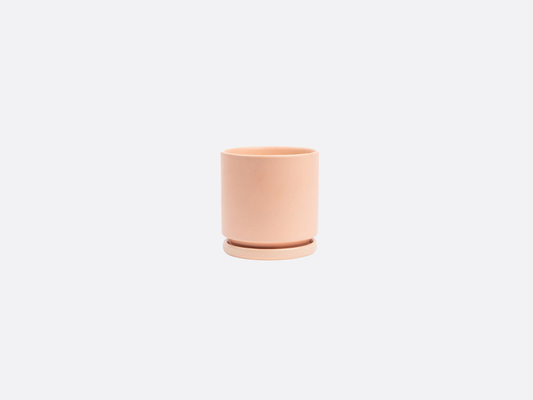 4.5" Gemstone Cylinder Pot + Saucer - Blush