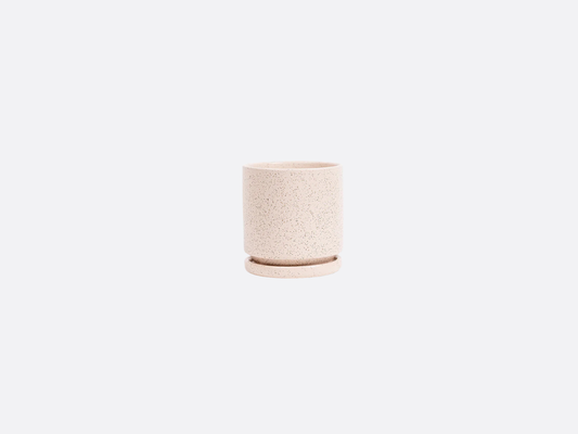 4.5" Gemstone Cylinder Pot + Saucer - White Sesame