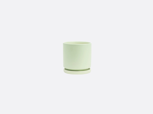 4.5" Gemstone Cylinder Pot + Saucer - Sage