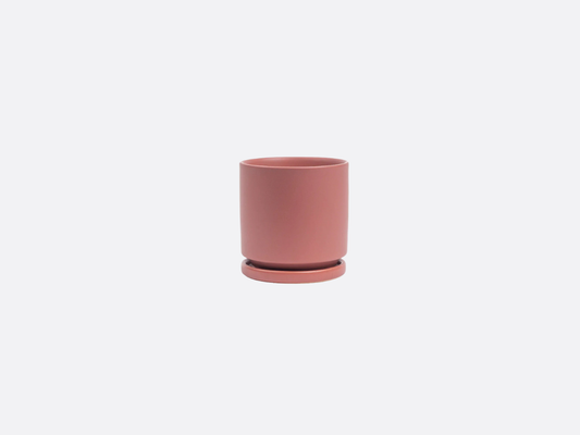 4.5" Gemstone Cylinder Pot + Saucer - Dusty Rose