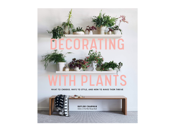 Decorating With Plants