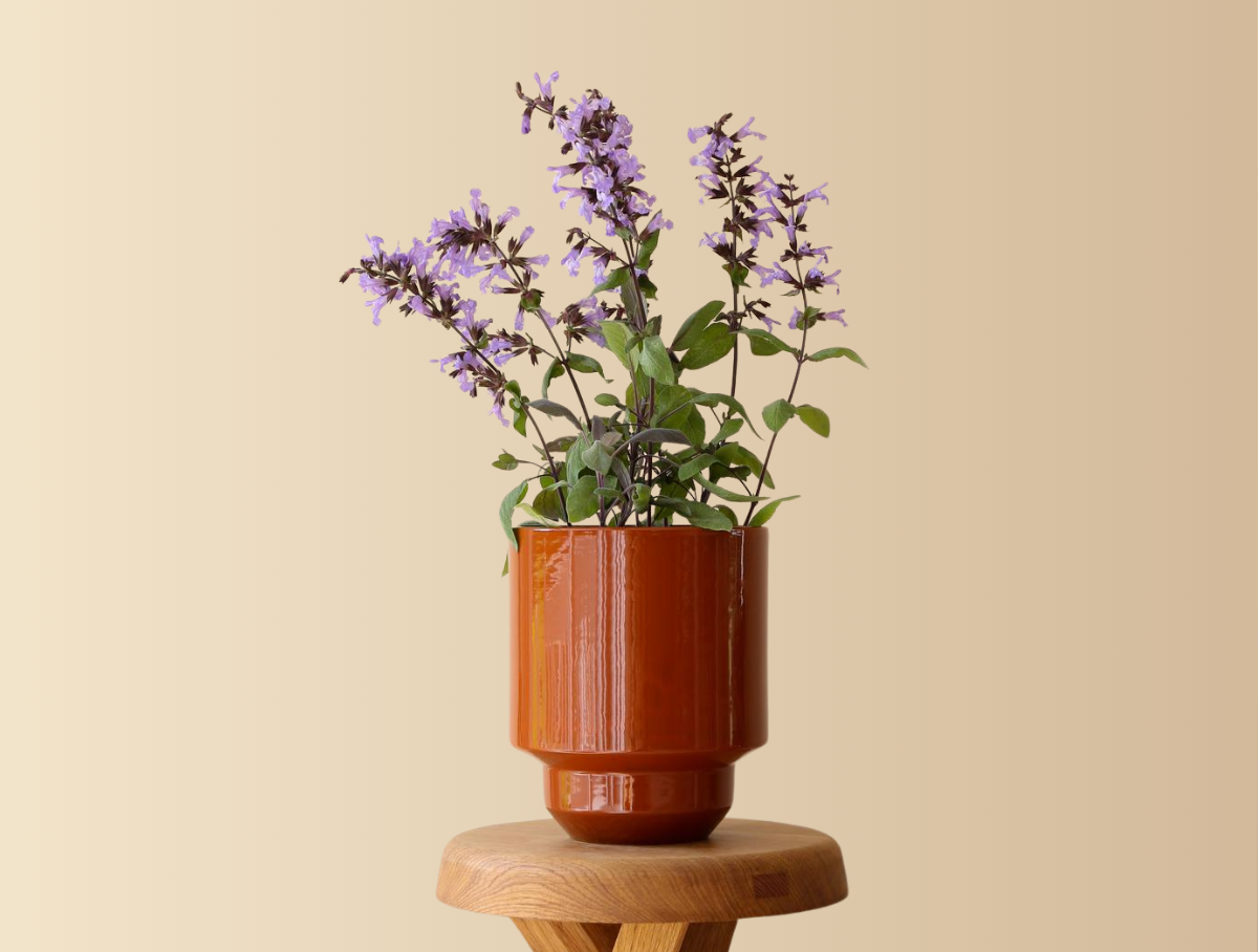 7" Hoff Glazed Pot - Rust