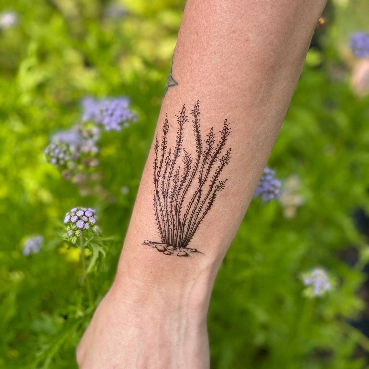 Nature Tats - Temporary Tattoos