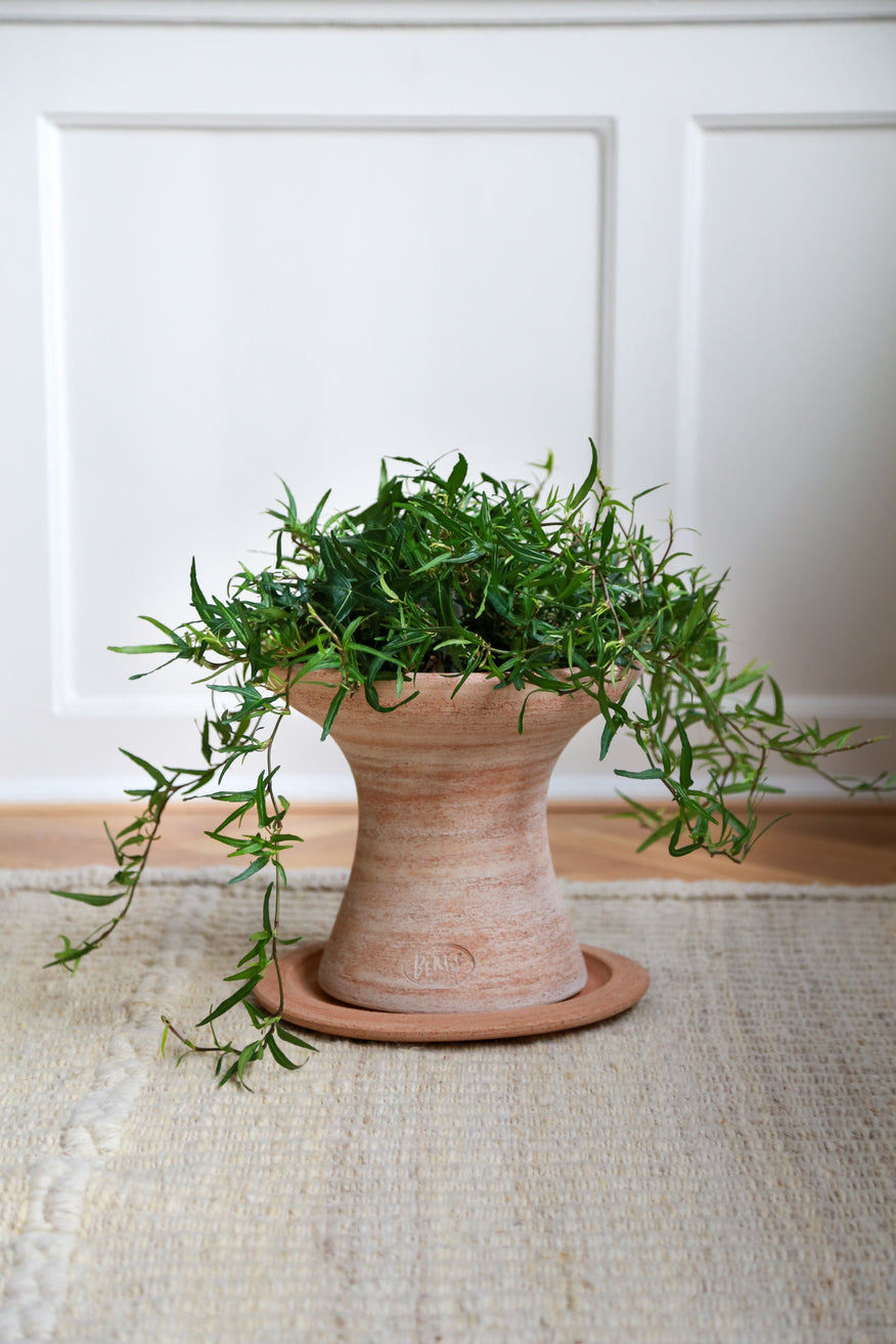 bergs potter plant pot Celeste Pot & Stand – Beet & Yarrow
