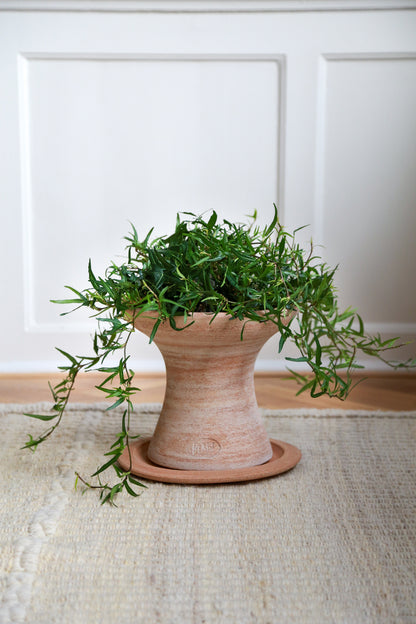 Celeste Pot & Stand