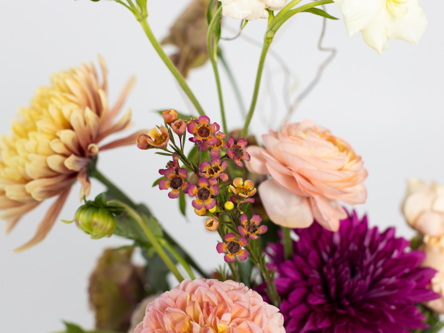 Berries & Cream Flower Arrangement