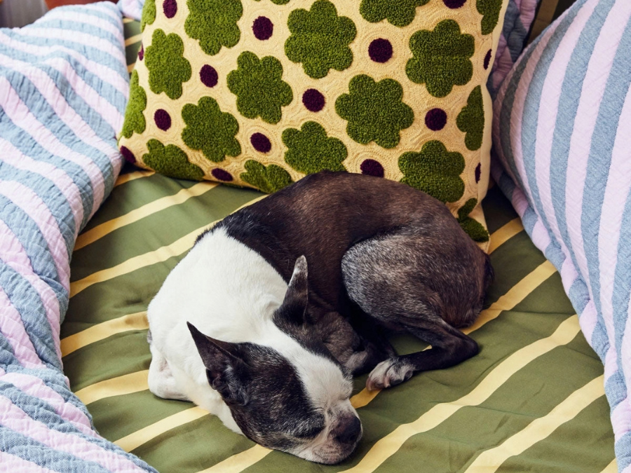 Big Raspberry Embroidered & Tufted Pillow