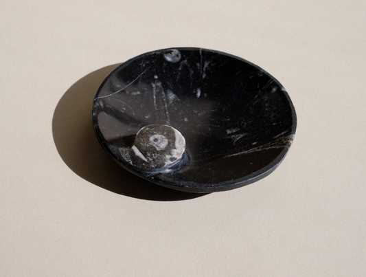 Black Ammonite and Orthoceras Round Spiral Dish