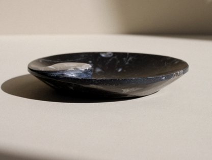 Black Ammonite and Orthoceras Round Spiral Dish