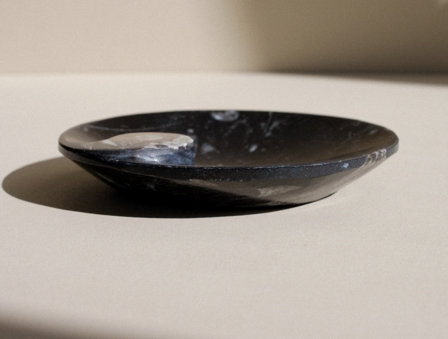 Black Ammonite and Orthoceras Round Spiral Dish