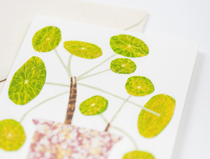 Bobble Plant - Everyday Card